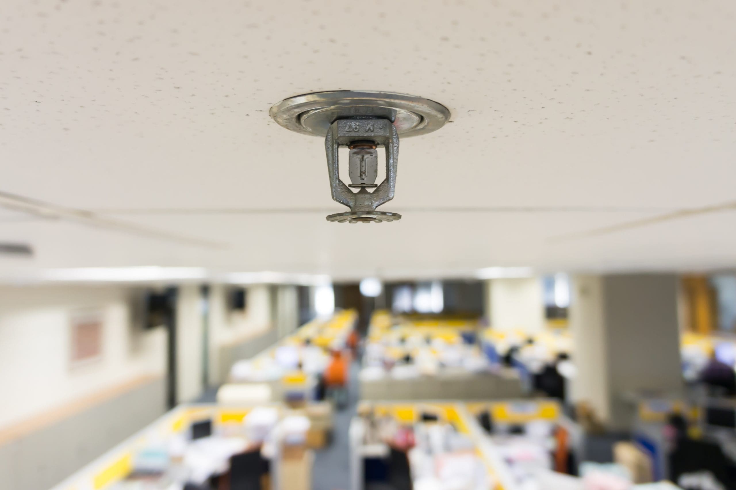 Fire sprinkler in a school building